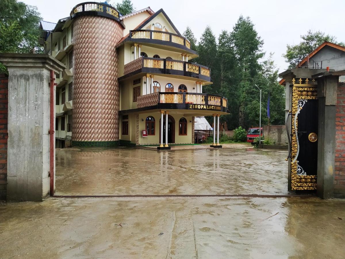Ziro Palace Inn - A Boutique Hotel Hapoli Экстерьер фото